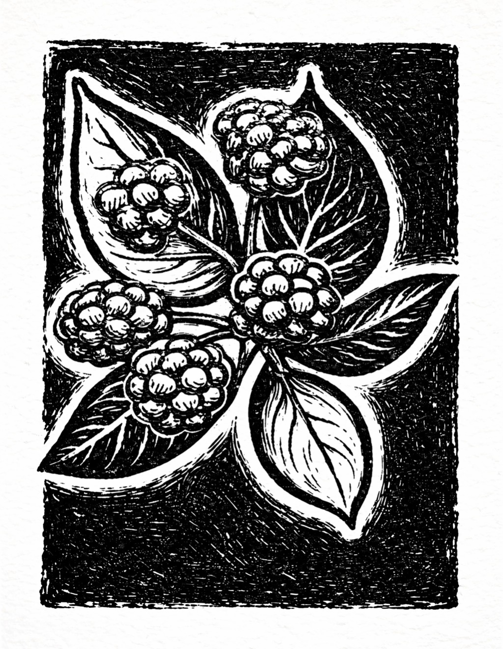 Black Briar Ridge Logo